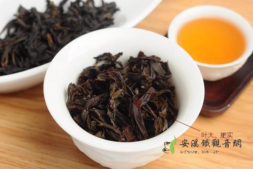 烏龍茶種類-水仙茶