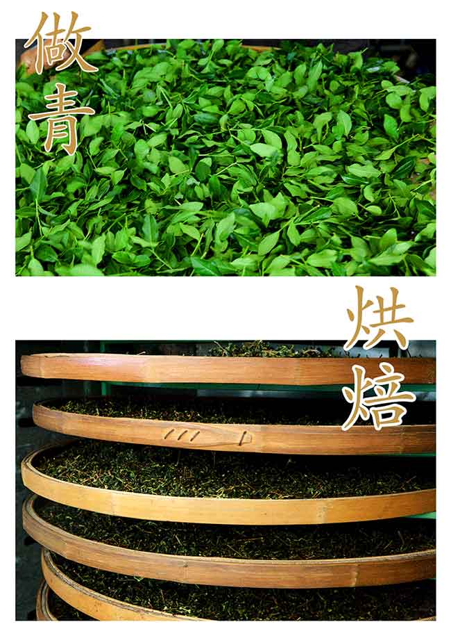 ￥128元/500克   特級(jí)2019新茶鐵觀音茶葉清香型禮盒裝500g